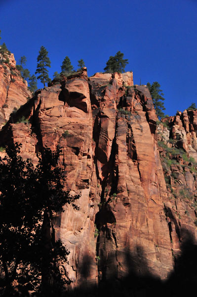 Zion - Utah15 - 8219