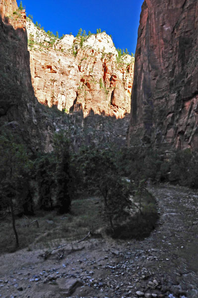 Zion - Utah15 - 8225