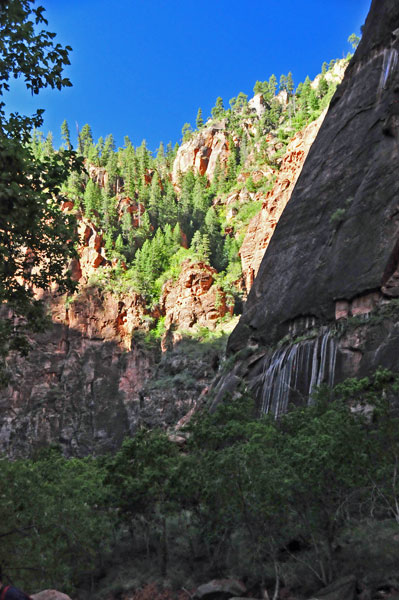 Zion - Utah15 - 8231