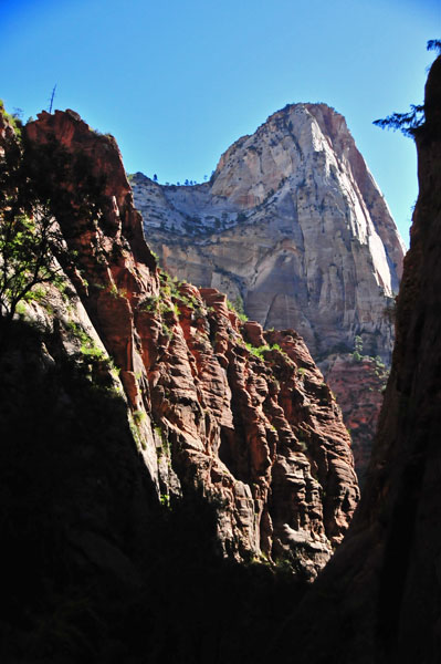 Zion - Utah15 - 8233