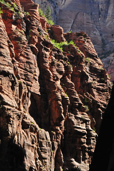 Zion-Utah15 - 8240