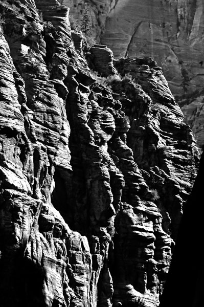 Zion-Utah15 - 8240bw