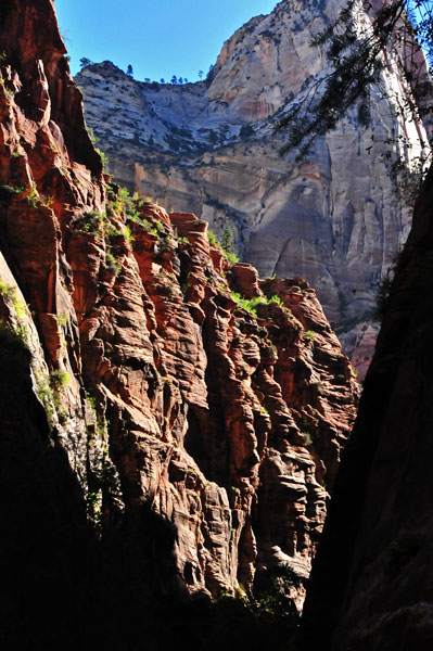 Zion-Utah15 - 8241