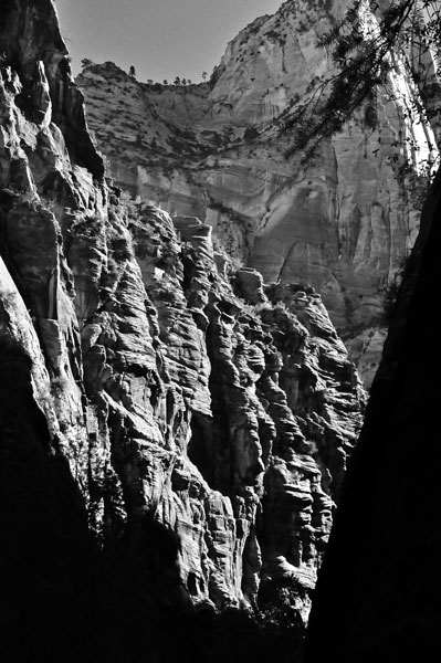 Zion-Utah15 - 8241bw