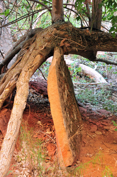 Zion-Utah15 - Propped - 8266