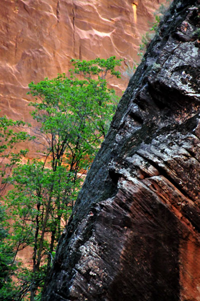 Zion-Utah15 - 8284