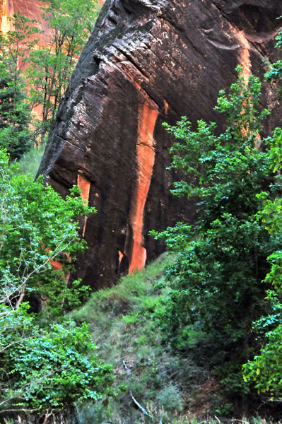 Zion-Utah15 - 8287