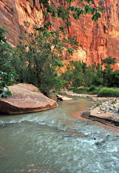Zion-Utah15 - 8305