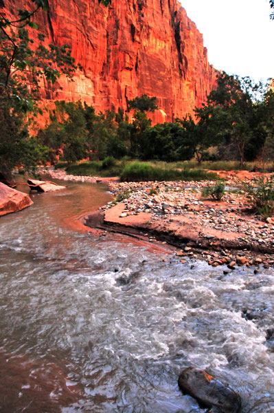 Zion-Utah15 - 8306