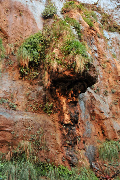 Zion-Utah15 - 8307