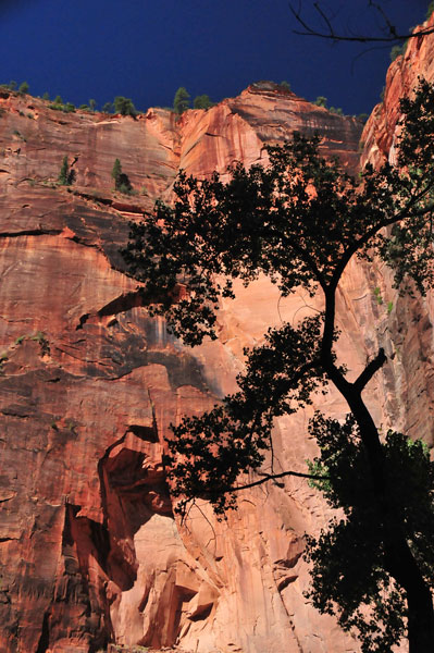 Zion-Utah15 - 8331