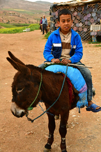 Sit on donkey and look cute - Moroc-2753