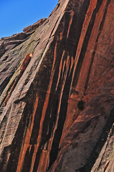 Zion-Utah15 - 8340