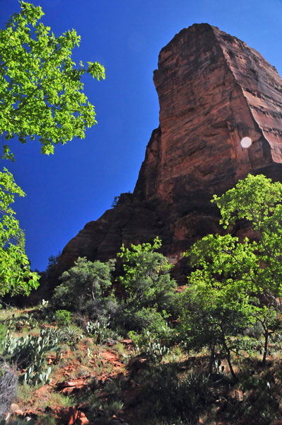Zion-Utah15 - 8345