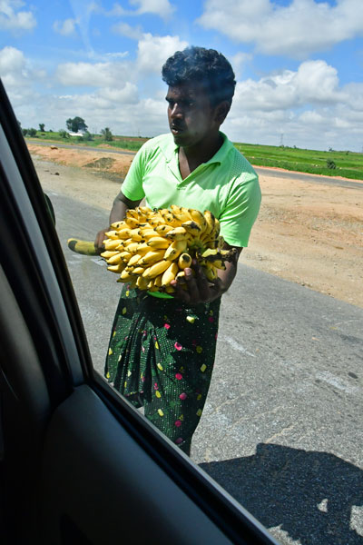 Banana sales associate - India-2-0403