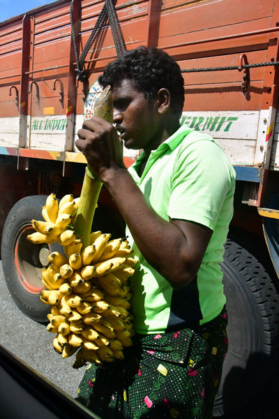 These are very good bananas sir! India-2-0405