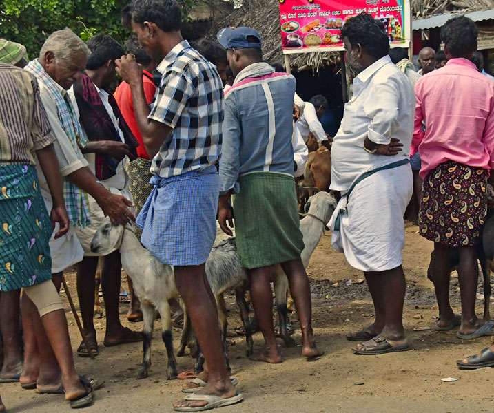 Goat market day - India-2-0440cr