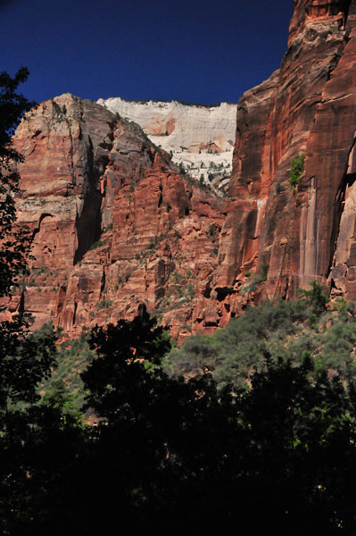 Zion-Utah15 - 8365