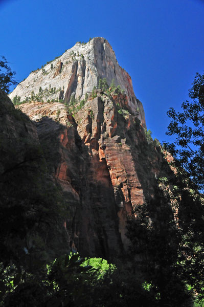Zion-Utah15 - 8366