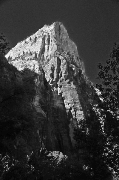 Zion-Utah15 - 8366bw