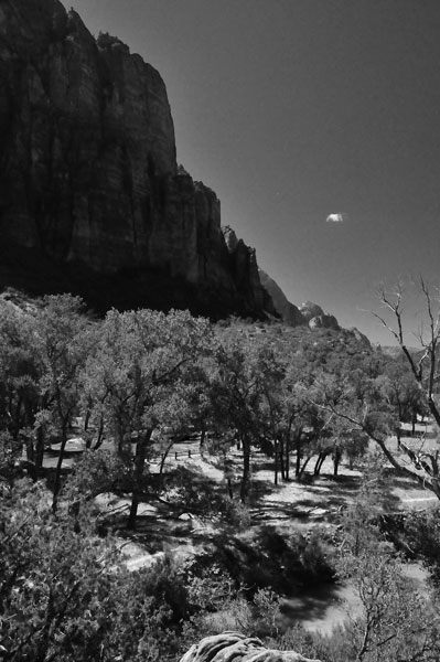 Zion-Utah15 - Virgin River - 8412bw