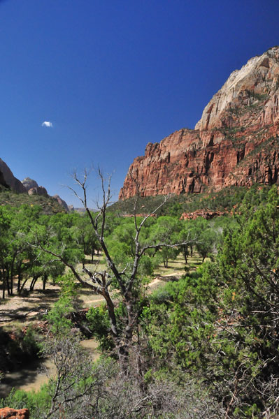 Zion-Utah15 - Virgin River valley - 8413