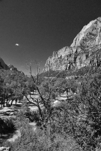 Zion-Utah15 - Virgin River valley - 8413bw