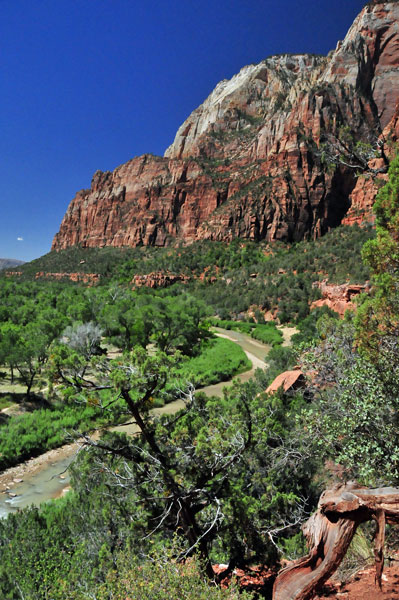 Zion-Utah15 - Virgin River - 8415