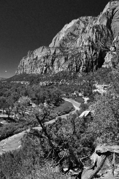 Zion-Utah15 - Virgin River - 8415bw