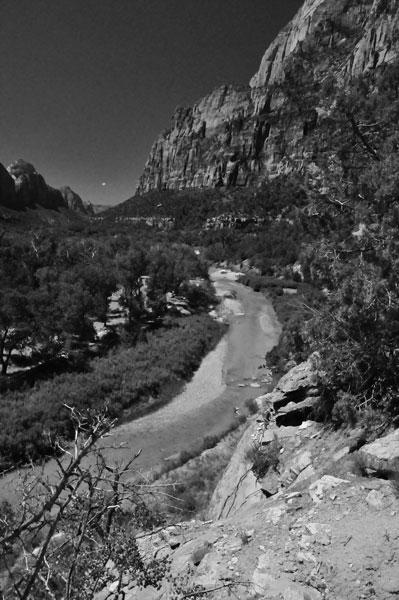 Zion-Utah15 - Virgin River - 8416bw