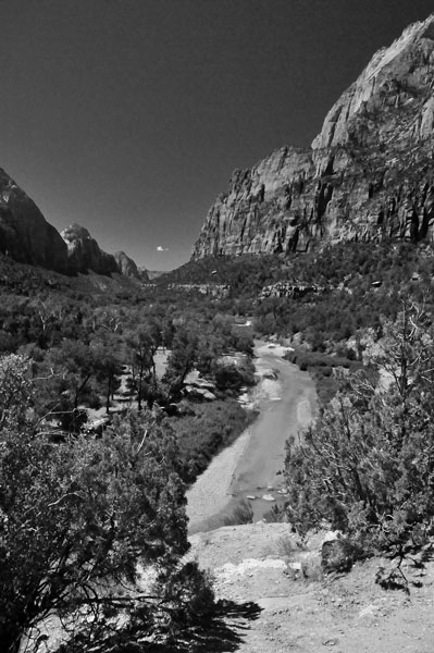 Zion-Utah15 - Virgin River - 8417bw