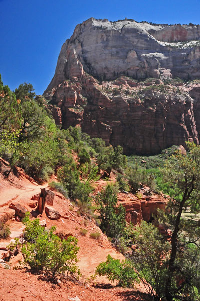 Zion-Utah15 - Virgin River valley - 8420