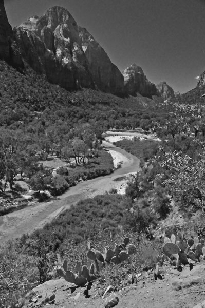 Zion-Utah15 - Virgin River - 8425bw