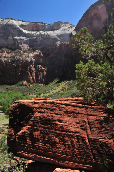 Zion-Utah15 - 8434