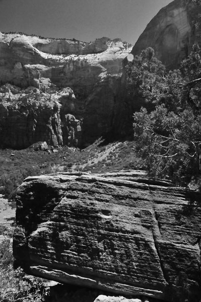 Zion-Utah15 - 8434bw