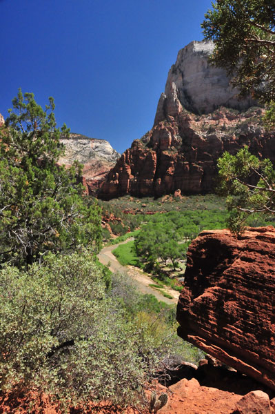 Zion-Utah15 - Virgin River - 8435