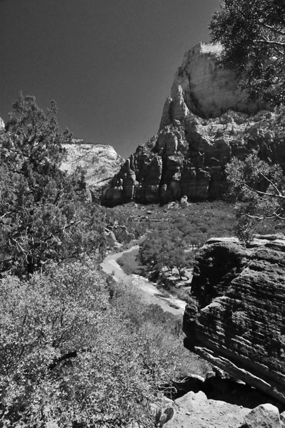 Zion-Utah15 - Virgin River - 8435bw