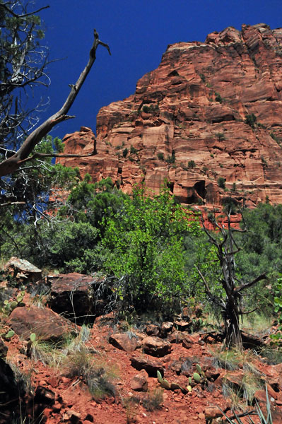 Zion-Utah15 - 8438