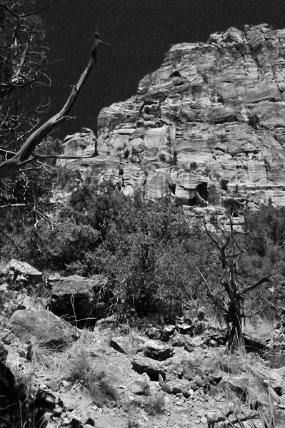 Zion-Utah15 - 8438bw