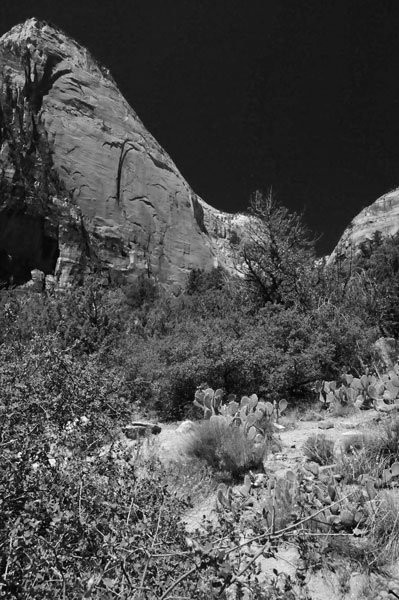 Zion-Utah15 - 8440bw