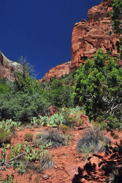 Zion-Utah15 - 8441