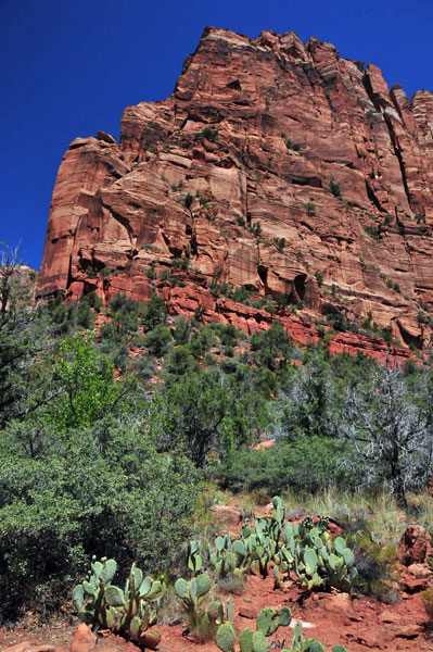 Zion-Utah15 - 8442