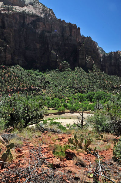 Zion-Utah15 - Virgin River - 8443