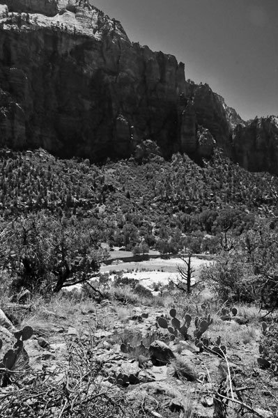 Zion-Utah15 - Virgin River - 8443bw