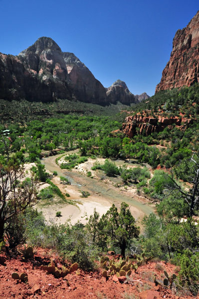 Zion-Utah15 - Virgin River - 8447