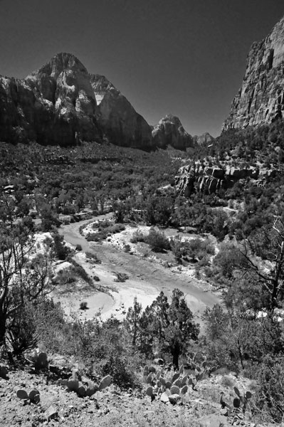 Zion-Utah15 - Virgin River - 8447bw