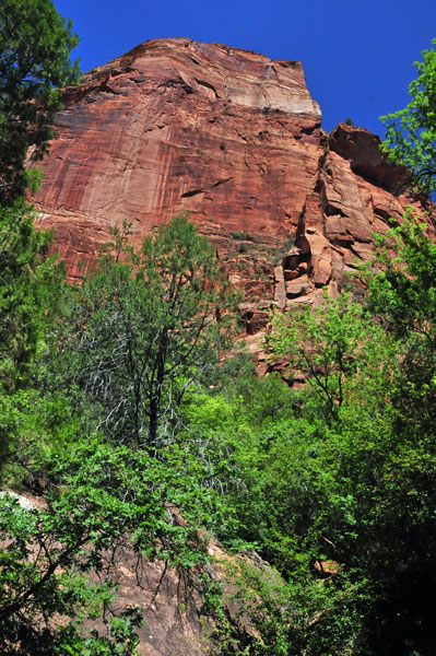 Zion-Utah15 - 8452