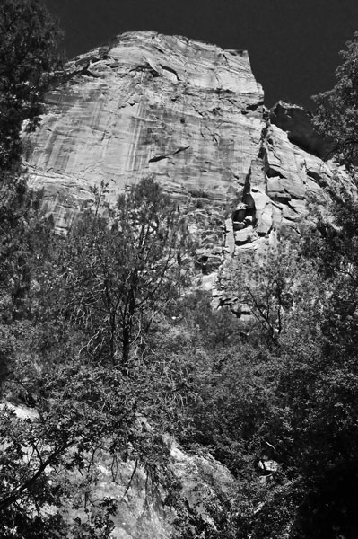 Zion-Utah15 - 8452bw