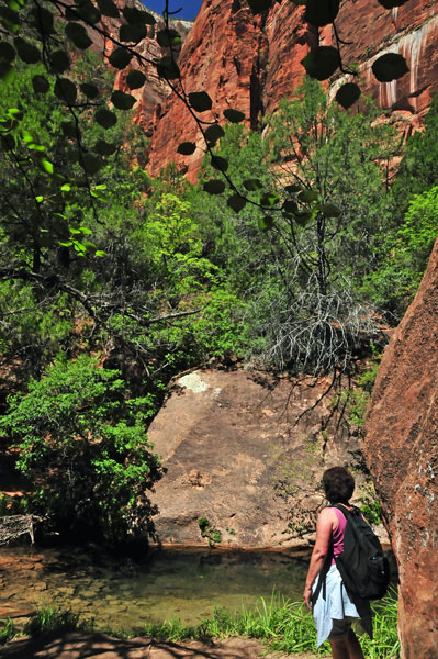 Zion-Utah15 - 8454