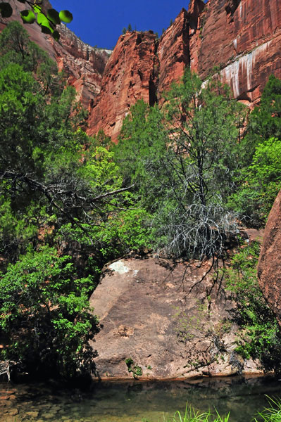 Zion-Utah15 - 8455